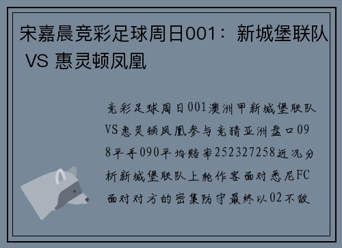 宋嘉晨竞彩足球周日001：新城堡联队 VS 惠灵顿凤凰
