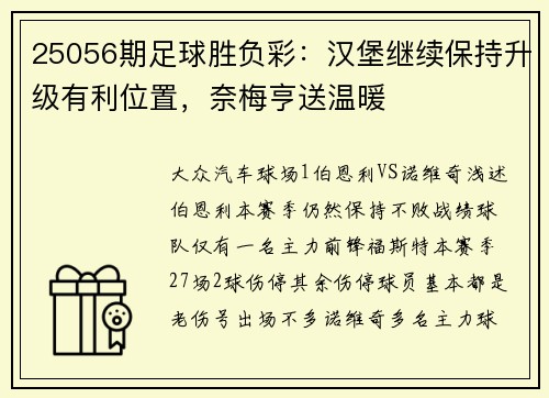 25056期足球胜负彩：汉堡继续保持升级有利位置，奈梅亨送温暖